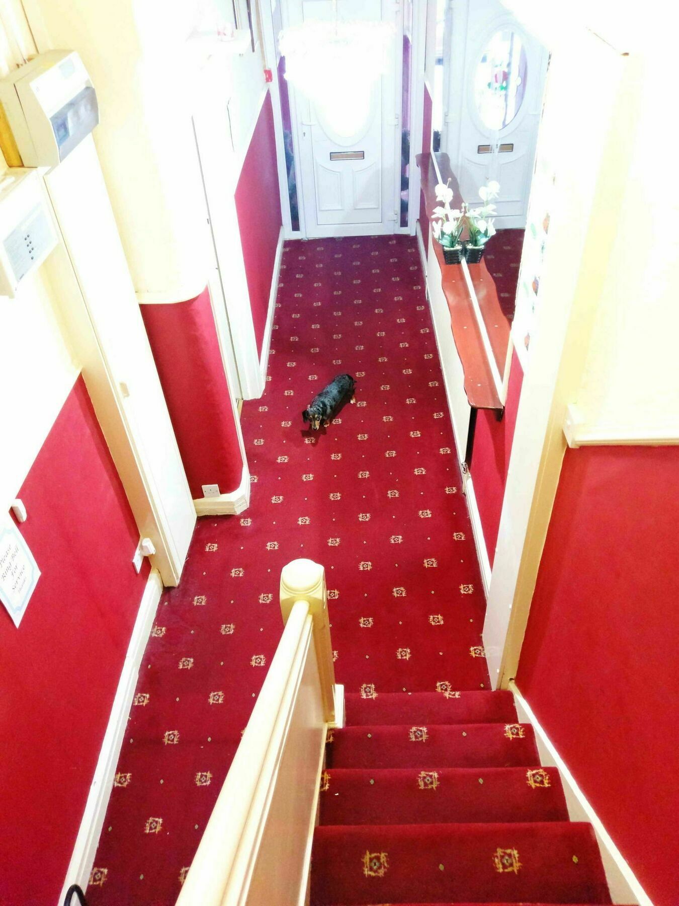 Bed and Breakfast Ringbane House Blackpool Exteriér fotografie